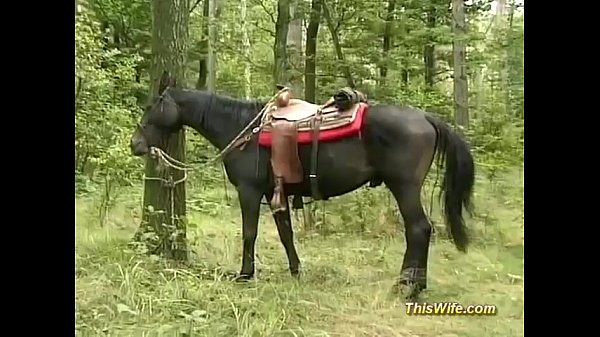 outdoor-Dreier-Analorgie