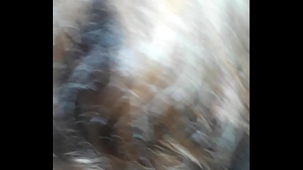 Straßenhure Prostituierte lutscht meinen Schwanz, bis ich verrückt werde